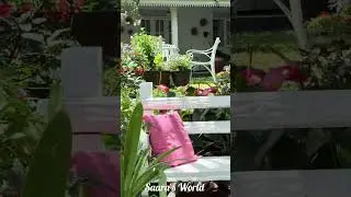 My Home Garden 🏕️#flowers #nature #garden #gardendecor