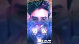 Dharmender yadav