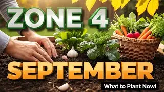 Zone 4 September Gardening Survival Guide | What to Plant Now