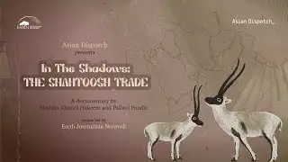 In The Shadows: The Shahtoosh Story