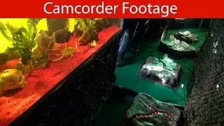 Amazonas - Onwalk / Walkthrough [Camcorder] - K&ouml;lner Fr&uuml;hlingsvolksfest 2014 (Deutzer Kirmes)