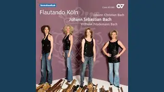 J.S. Bach: Prelude (Fantasy) and Fugue in C Minor, BWV 537 - I. Fantasy (Arr. for Recorder...