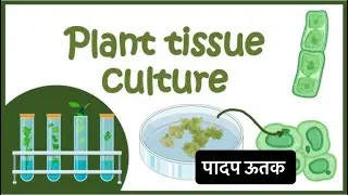 Biology Plant Tissue ( पादप ऊतक ) #manishsir #planttissue #biology 