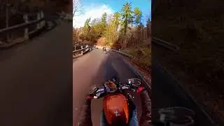 Motorrad Harley Harleydavidson Rideout Motorradtour Motorradfahrer Motorradcrew