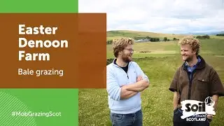 Mob Grazing: making and using silage for the herd to eat in winter