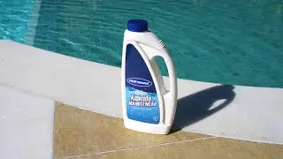 Como prevenir algas na piscina