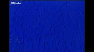 @DeKleine: IKB 12 Yves Klein  Blue monochrome  