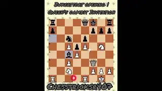 Zukerttort opening | Queen's gambit Invitation, #chesstricks407 #chess