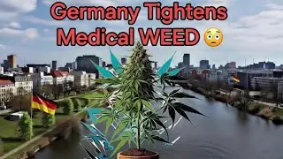 Медицинская марихуана в Германии в беде 😱🤯