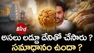 అసలు లడ్డూ దేనితో చేసారు ? సమాధానం ఉందా ? | How To Make Tirumala Laddu ? | Bird Media |