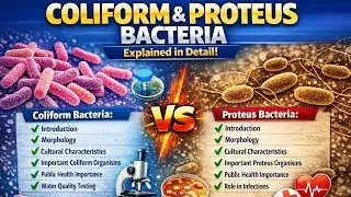 Coliform & Proteus Bacteria Explained in Detail | Morphology, Culture, Public Health Importance
