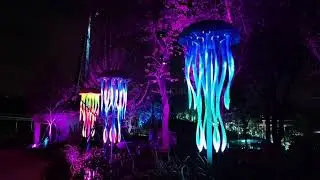 Glowing Vine Interactive Art Installation