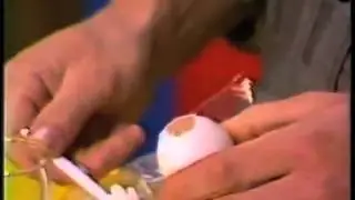 Eddie Sunderland - Egg Bomb