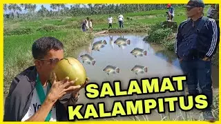 KALAMPITUS, NAMIGAY NG TILAPIA KAY KUYA VAL PARA ILAGAY SA FISHPOND SA BUKID