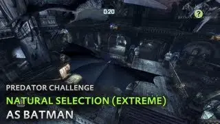 Batman: Arkham City - Natural Selection (Extreme) [as Batman] - Predator Challenge
