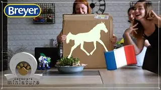 BREYERFEST 2020 Loot le DEBALLAGE du SIECLE