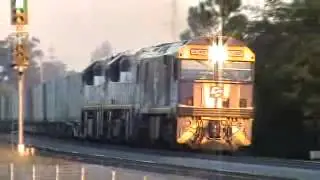 GL-VL-VL TELARAH