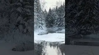 Vinterlandskap i norra Sverige Winter landscape in Sweden #naturelover #Winter #snowandice