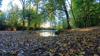 BikeBunch - MTB Tour Ho-Chi-Minh Trail Lohmar - pralle Sonne und goldener Herbst!