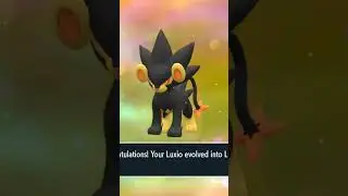 ✨️Shiny🦁🟡Luxray⚫️🦁✨️#shinypokemon #pokemon #pokemonscarletandviolet #shiny #cats #gold #black