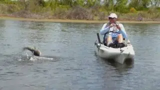 IFA Kayak Tour stops in Texas