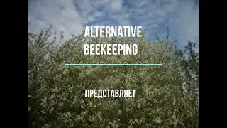 Два случая на пасеке.