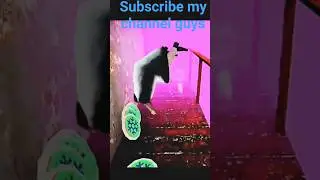granny Dance dum dum song #shorts #ytshorts #funny #horror #stromeridersr