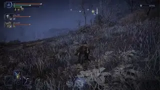 Elden Ring Nightreign: Libra Forgot The Fight Ended