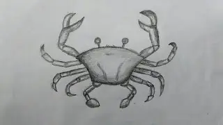 crab drawing with pencil//how to draw  crab