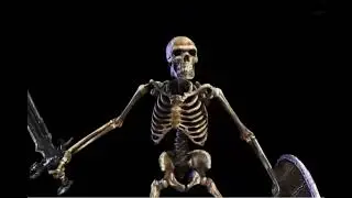 Skeleton shield meme this better not go viral