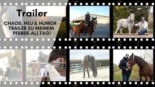 Stallumbau die Erste &ndash; was kann schon schiefgehen? 😆