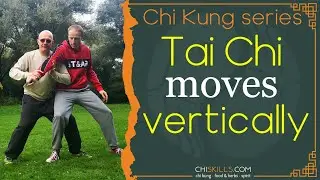 Tai Chi moves vertically!