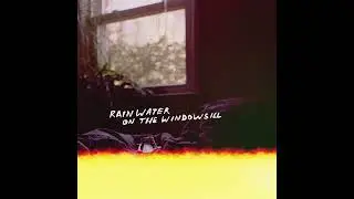 Orchid Mantis - Rainwater on the Windowsill