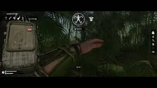 Green Hell (Green Hell Survival) Possible Spear Bug.