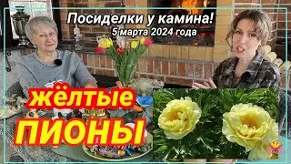 Посиделки у камина. Часть 20. Об оттенках пионов от желтых родителей! / Сад Ворошиловой