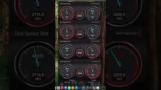 Desktop Storage Revolution: Lightning Speed with 4 SSDs! 💻⚡