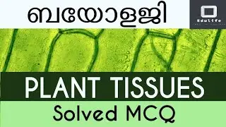 Plant Tissues | Class 9 | Solved MCQ | Types, Classification, Functions |