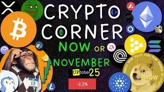 Crypto Corner Sats Stacker: NOW or NOVEMBER