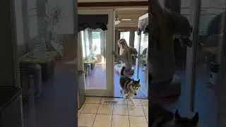 Rat girl morning routine