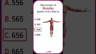 largest organ in human body🤫//general knowledge//#scc//#topper