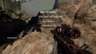 SolitaryGhxst - Black Ops II Raid trickshot