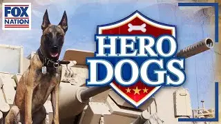 Hero Dogs &bull; Now Available on Fox Nation
