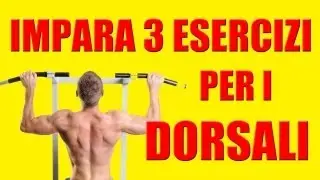 3 Esercizi Base per i Dorsali - Personal Trainer #46