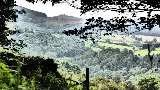 Black Hambleton & Boltby Forest, North York Moors - 30 July 2017