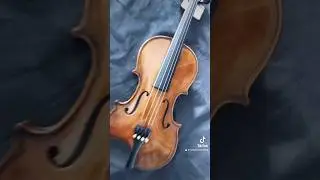 Cremona ofrece un viol&iacute;n SV175 Premier est&aacute;n dise&ntilde;ados para satisfacer las necesidades espec&iacute;ficas