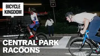 Riding in NYC: Central Park Raccoons | Bicycle Kingdom | The Pro's Closet