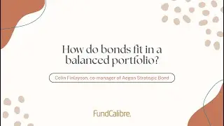 How do bonds fit in a balanced portfolio?