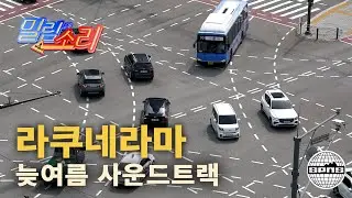 밀림의 소리 Vol.3 | BYE BYE SUMMER MIX | RAKUNELAMA