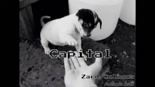 Zard Colocca - Capital