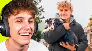 Pokeccc Si Poř&iacute;dil &Scaron;těň&aacute;tko!